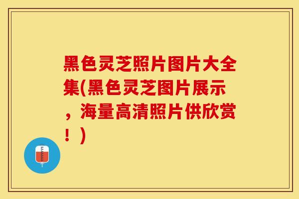 黑色灵芝照片图片大全集(黑色灵芝图片展示，海量高清照片供欣赏！)