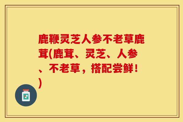 鹿鞭灵芝人参不老草鹿茸(鹿茸、灵芝、人参、不老草，搭配尝鲜！)