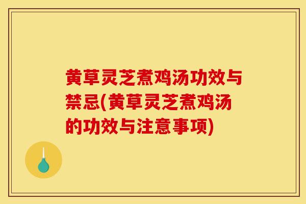 黄草灵芝煮鸡汤功效与禁忌(黄草灵芝煮鸡汤的功效与注意事项)