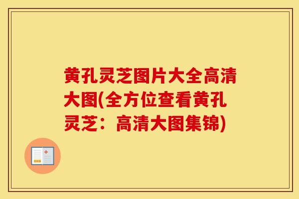 黄孔灵芝图片大全高清大图(全方位查看黄孔灵芝：高清大图集锦)
