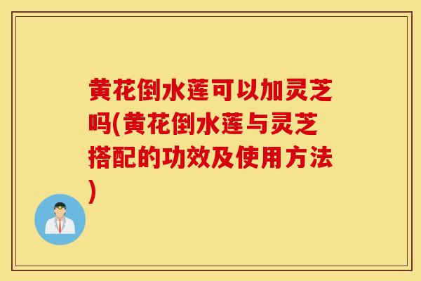 黄花倒水莲可以加灵芝吗(黄花倒水莲与灵芝搭配的功效及使用方法)