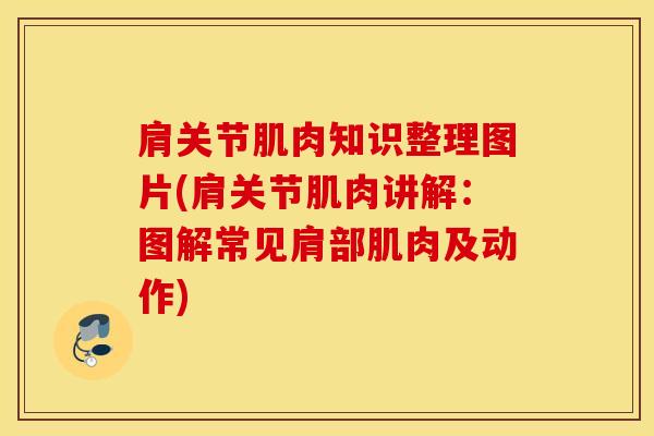 肩关节肌肉知识整理图片(肩关节肌肉讲解:图解常见肩部肌肉及动作) 肩关节肌肉知识整理图片(肩关节肌肉讲解:图解常见肩部肌肉及动作)