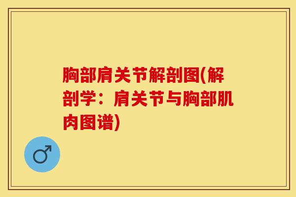 胸部肩关节解剖图(解剖学：肩关节与胸部肌肉图谱)