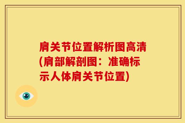 肩关节位置解析图高清(肩部解剖图：准确标示人体肩关节位置)