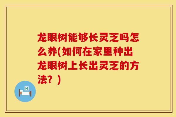 龙眼树能够长灵芝吗怎么养(如何在家里种出龙眼树上长出灵芝的方法？)