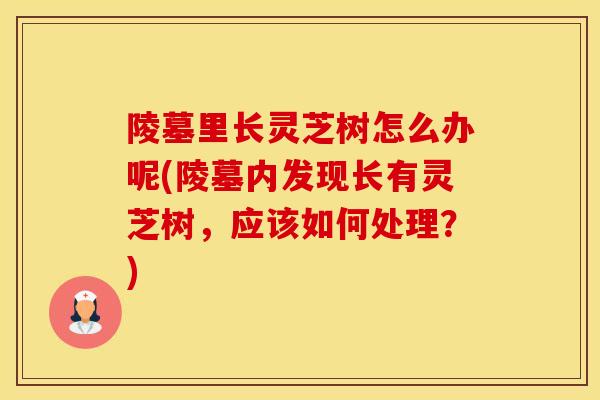 陵墓里长灵芝树怎么办呢(陵墓内发现长有灵芝树，应该如何处理？)