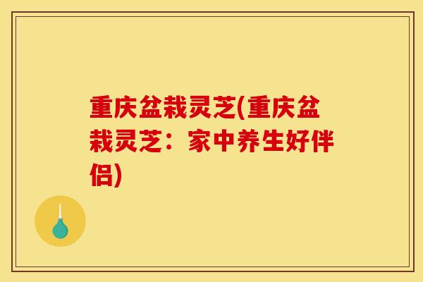 重庆盆栽灵芝(重庆盆栽灵芝：家中养生好伴侣)