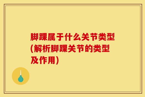 脚踝属于什么关节类型(解析脚踝关节的类型及作用)