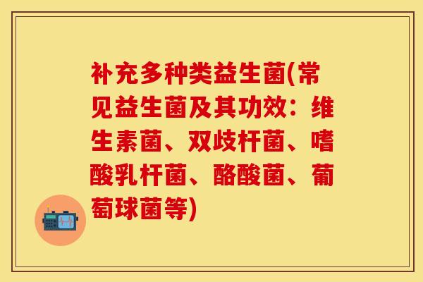 补充多种类益生菌(常见益生菌及其功效：维生素菌、双歧杆菌、嗜酸乳杆菌、酪酸菌、葡萄球菌等)