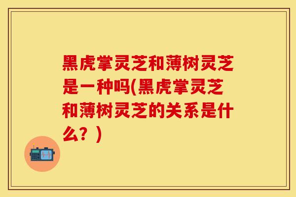 黑虎掌灵芝和薄树灵芝是一种吗(黑虎掌灵芝和薄树灵芝的关系是什么？)