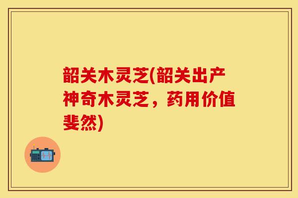 韶关木灵芝(韶关出产神奇木灵芝，药用价值斐然)