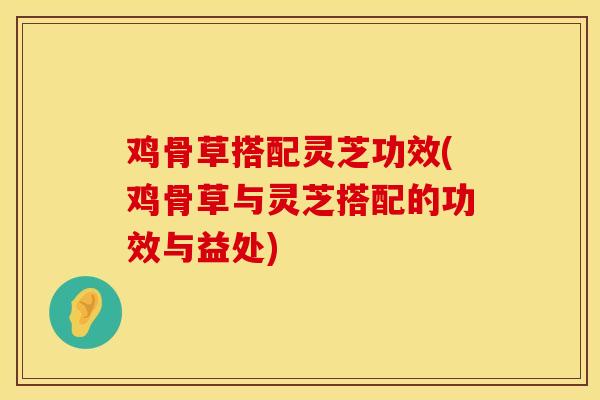 鸡骨草搭配灵芝功效(鸡骨草与灵芝搭配的功效与益处)