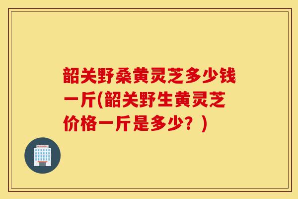 韶关野桑黄灵芝多少钱一斤(韶关野生黄灵芝价格一斤是多少？)
