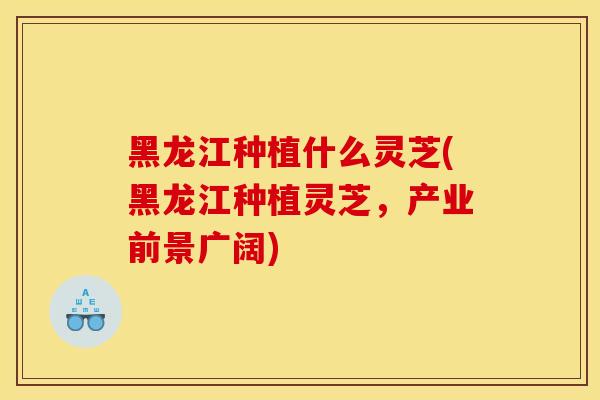 黑龙江种植什么灵芝(黑龙江种植灵芝，产业前景广阔)