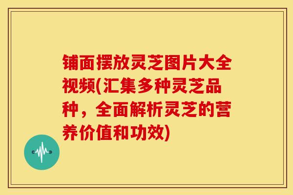 铺面摆放灵芝图片大全视频(汇集多种灵芝品种，全面解析灵芝的营养价值和功效)