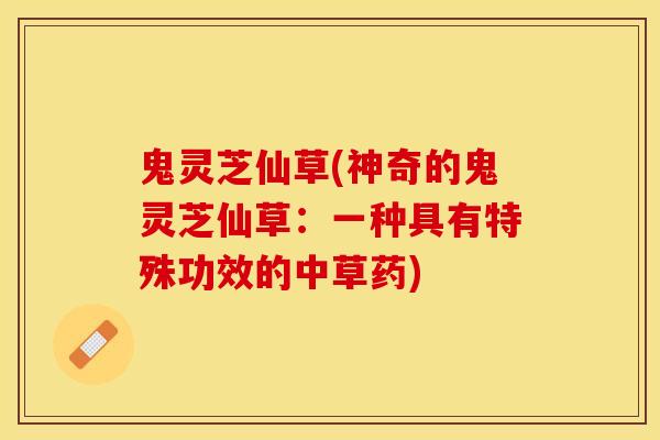 鬼灵芝仙草(神奇的鬼灵芝仙草：一种具有特殊功效的中草药)