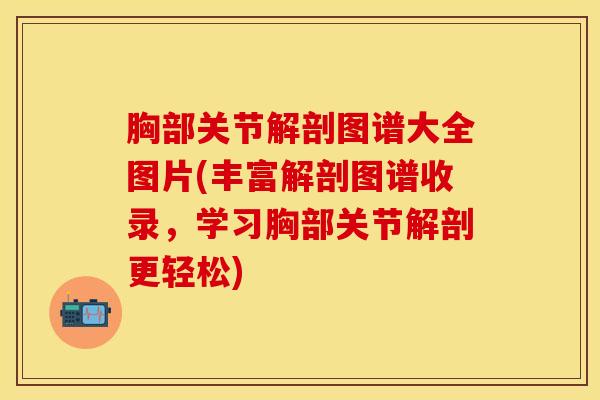 胸部关节解剖图谱大全图片(丰富解剖图谱收录，学习胸部关节解剖更轻松)
