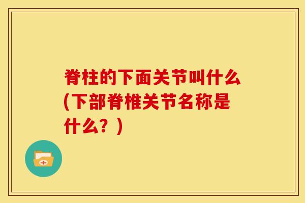 脊柱的下面关节叫什么(下部脊椎关节名称是什么？)
