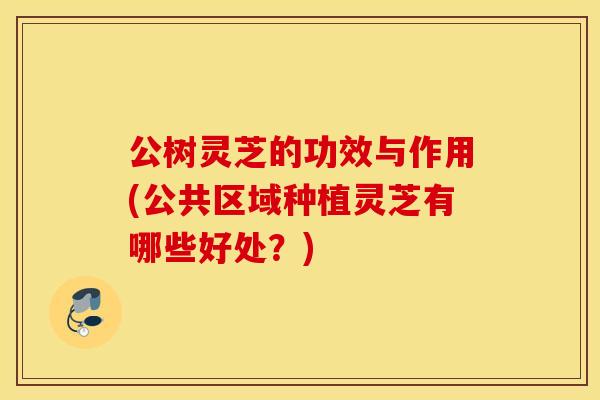 公树灵芝的功效与作用(公共区域种植灵芝有哪些好处?) 公树灵芝的功效与作用(公共区域种植灵芝有哪些好处?)
