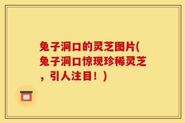 兔子洞口的灵芝图片(兔子洞口惊现珍稀灵芝,引人注目!) 兔子洞口的灵芝图片(兔子洞口惊现珍稀灵芝,引人注目!)