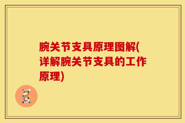 腕关节支具原理图解(详解腕关节支具的工作原理)