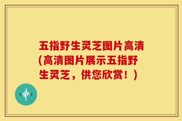 五指野生灵芝图片高清(高清图片展示五指野生灵芝,供您欣赏!) 五指野生灵芝图片高清(高清图片展示五指野生灵芝,供您欣赏!)