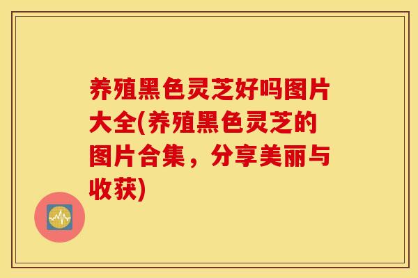 养殖黑色灵芝好吗图片大全(养殖黑色灵芝的图片合集，分享美丽与收获)