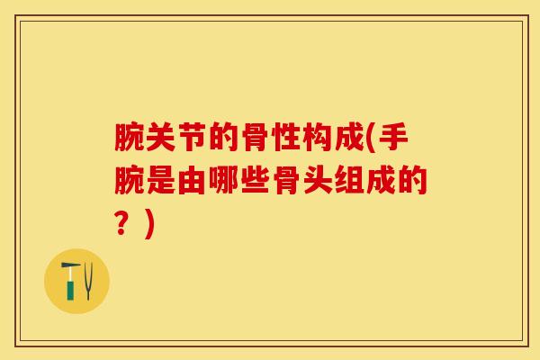 腕关节的骨性构成(手腕是由哪些骨头组成的？)