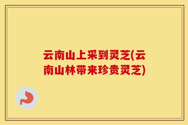云南山上采到灵芝(云南山林带来珍贵灵芝)