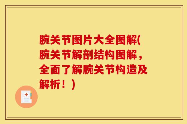 腕关节图片大全图解(腕关节解剖结构图解，全面了解腕关节构造及解析！)