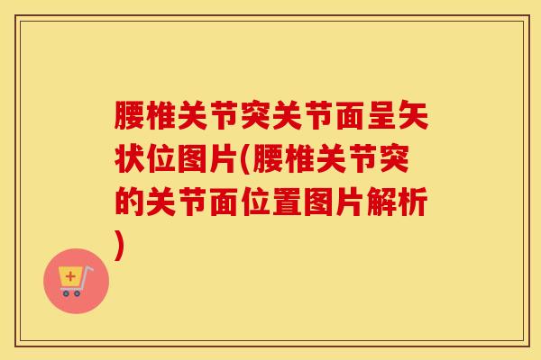 腰椎关节突关节面呈矢状位图片(腰椎关节突的关节面位置图片解析)