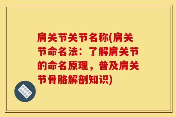 肩关节关节名称(肩关节命名法：了解肩关节的命名原理，普及肩关节骨骼解剖知识)