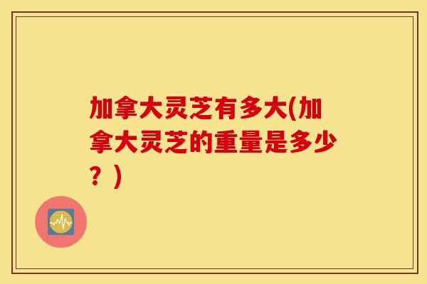 加拿大灵芝有多大(加拿大灵芝的重量是多少?) 加拿大灵芝有多大(加拿大灵芝的重量是多少?)