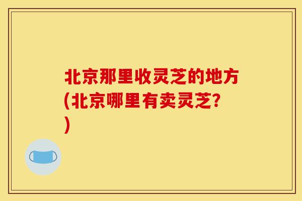 北京那里收灵芝的地方(北京哪里有卖灵芝？)