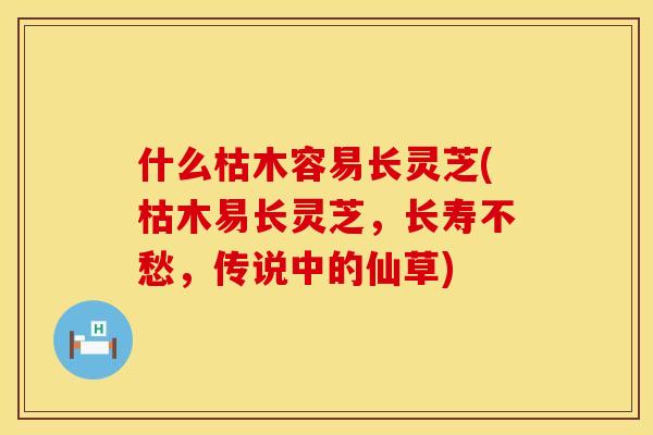 什么枯木容易长灵芝(枯木易长灵芝,长寿不愁,传说中的仙草) 什么枯木容易长灵芝(枯木易长灵芝,长寿不愁,传说中的仙草)