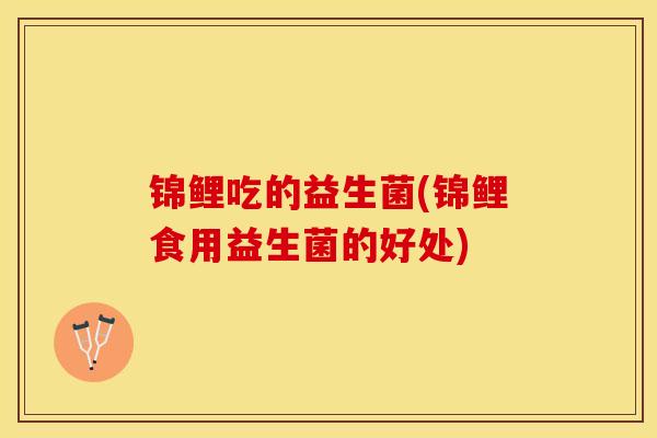 锦鲤吃的益生菌(锦鲤食用益生菌的好处)