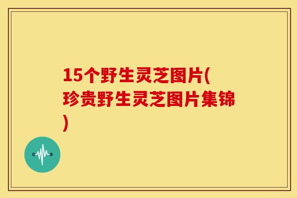 15个野生灵芝图片(珍贵野生灵芝图片集锦) 15个野生灵芝图片(珍贵野生灵芝图片集锦)