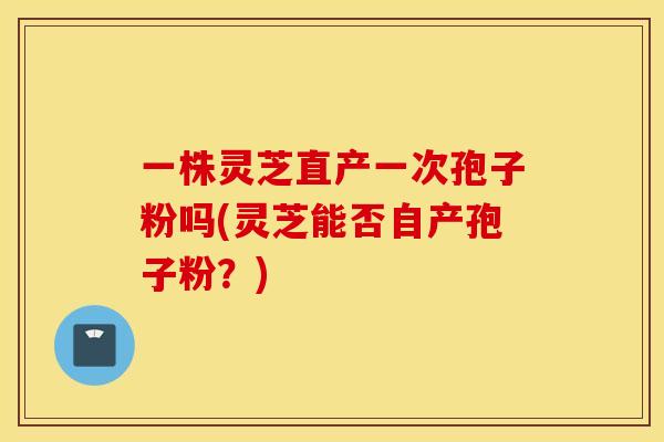 一株灵芝直产一次孢子粉吗(灵芝能否自产孢子粉？)