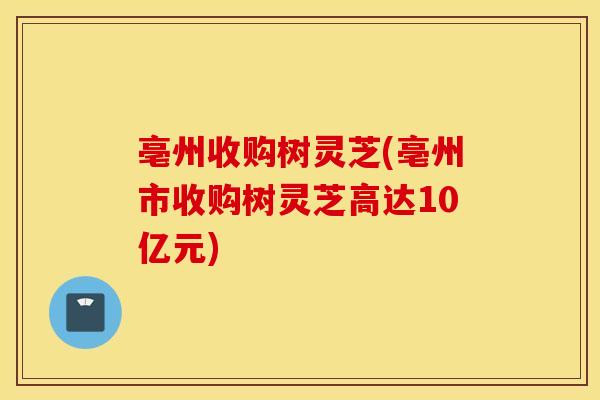 亳州收购树灵芝(亳州市收购树灵芝高达10亿元)