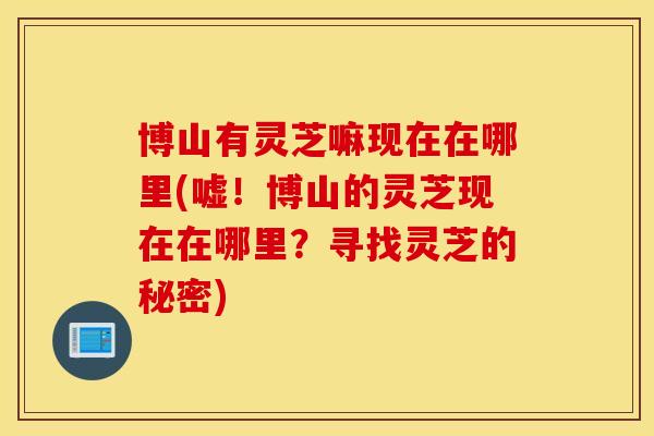 博山有灵芝嘛现在在哪里(嘘!博山的灵芝现在在哪里?寻找灵芝的秘密) 博山有灵芝嘛现在在哪里(嘘!博山的灵芝现在在哪里?寻找灵芝的秘密)