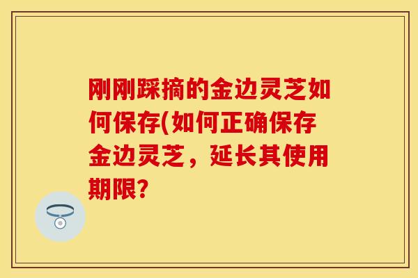 刚刚踩摘的金边灵芝如何保存(如何正确保存金边灵芝,延长其使用期限? 刚刚踩摘的金边灵芝如何保存(如何正确保存金边灵芝,延长其使用期限?