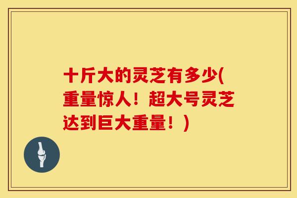 十斤大的灵芝有多少(重量惊人！超大号灵芝达到巨大重量！)