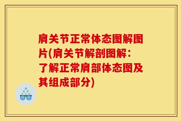 肩关节正常体态图解图片(肩关节解剖图解：了解正常肩部体态图及其组成部分)