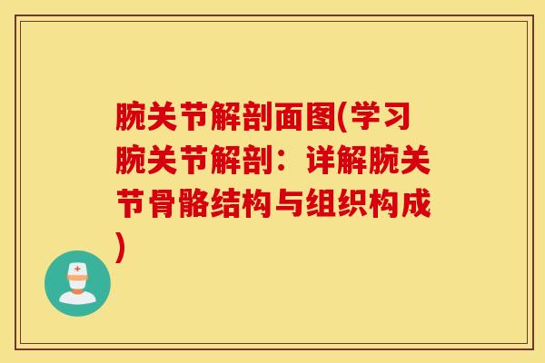 腕关节解剖面图(学习腕关节解剖：详解腕关节骨骼结构与组织构成)