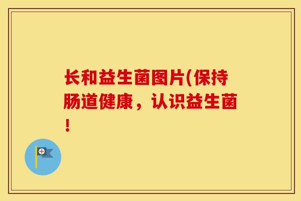 长和益生菌图片(保持肠道健康,认识益生菌! 长和益生菌图片(保持肠道健康,认识益生菌!