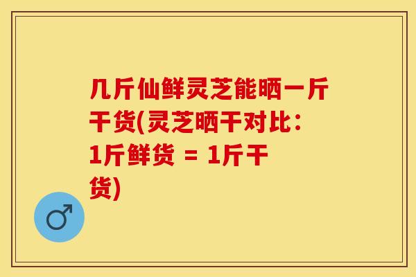 几斤仙鲜灵芝能晒一斤干货(灵芝晒干对比：1斤鲜货 = 1斤干货)