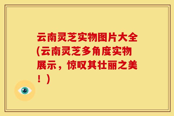 云南灵芝实物图片大全(云南灵芝多角度实物展示，惊叹其壮丽之美！)