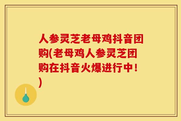 人参灵芝老母鸡抖音团购(老母鸡人参灵芝团购在抖音火爆进行中！)