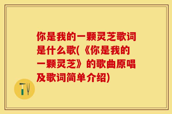 你是我的一颗灵芝歌词是什么歌(《你是我的一颗灵芝》的歌曲原唱及歌词简单介绍)