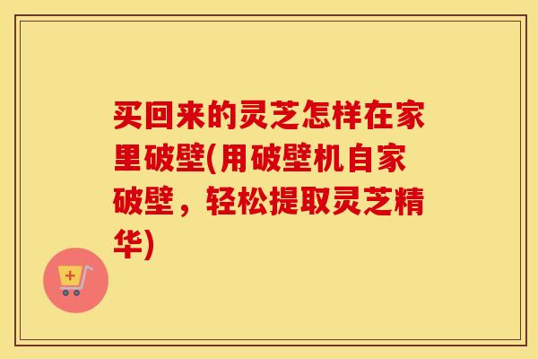 买回来的灵芝怎样在家里破壁(用破壁机自家破壁，轻松提取灵芝精华)
